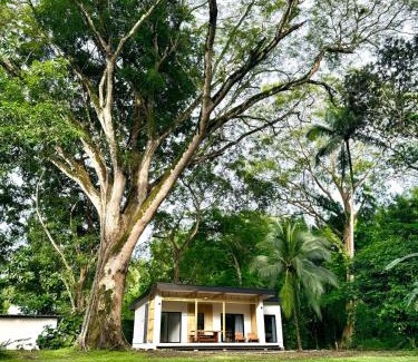 Manzanillo Casa | Santa Teresa Manzanillo Walk to Beach, New Home, Center of Tranquil Town