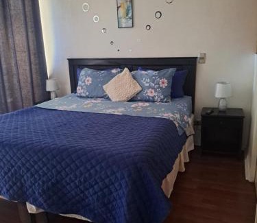 Bellas Artes Apartamento | Santiago Centro Apart