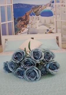 Sremska Mitrovica Apartamento | Santorini