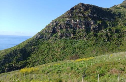 Machico Apartamento | Sao Lourenco