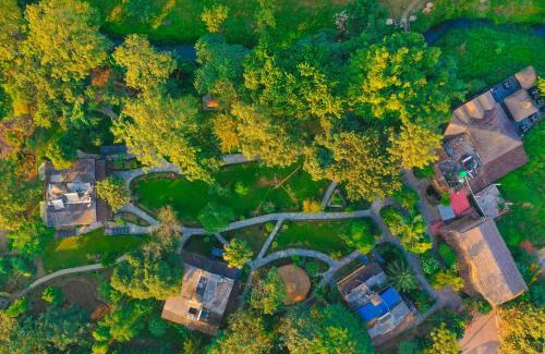 Sauraha Complejo | Sapana Village Lodge