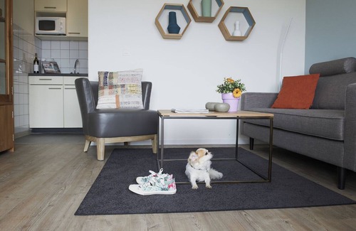 Luxembourg Ardennes Apartamento | Sapinière Type C - Una Habitación Piso, Capacidad 3