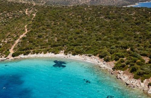 Bodrum Alquiler De Eote | Saraçoğlu vip bodrum