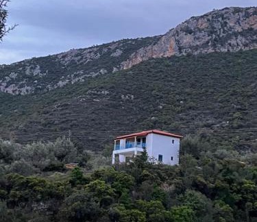 Livadi Casa | Sarantopoyloy Eleni