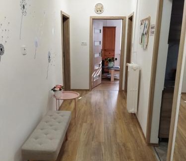 Satoraljaujhely Apartamento | Sarokház Apartman