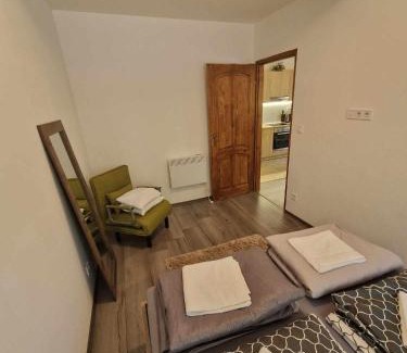 Sarud Apartamento | Sarudi Wellness Apartman