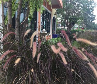Nakhon Ratchasima Complejo | Sata House Boutique Resort