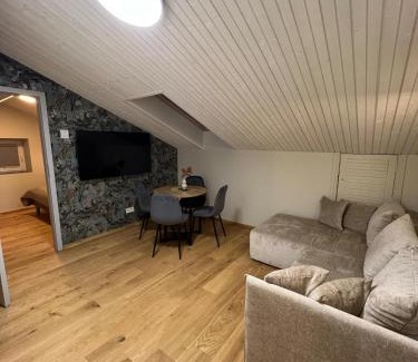 Klaipeda Apartamento | Saules apartment Klaipeda