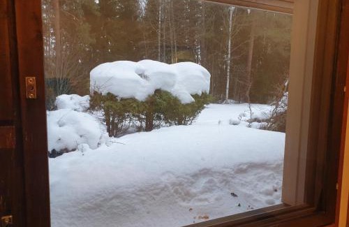 Pielavesi Apartamento | Saunallinen rivitalohuoneisto A2 50m2