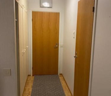 Pieksamaki Apartamento | Saunallinen yksiö keskustassa