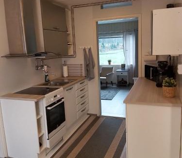 Sastamala Apartamento | Saunamaailman Vanha tölli