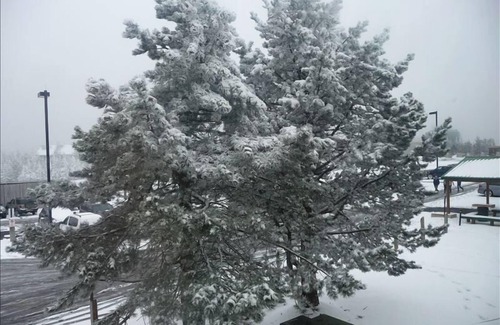 Snowshoe Condominio | Ahorre $$, 1 BR, Mountain Lodge, Ski-in / Ski-out, Village Central,