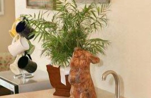 Devils Tower Casa | Sawin Logs Inn