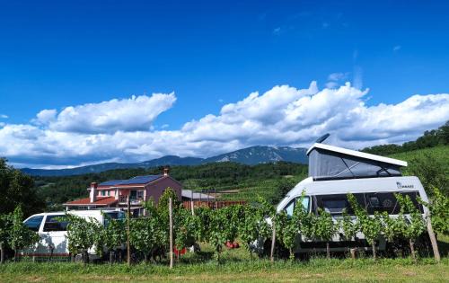 Zalosce Otro | Saxida Wine & Camping Resort Pitches