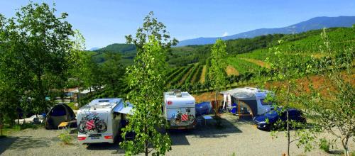 Zalosce Otro | Saxida Wine & Camping Resort Pitches