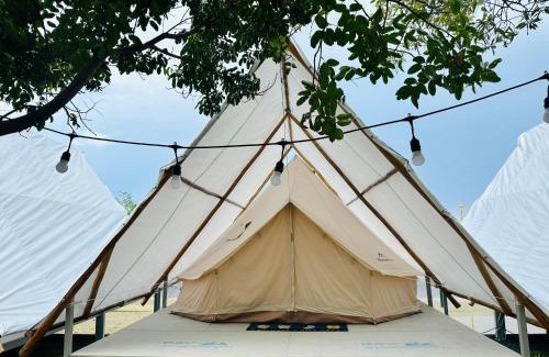 Can Gio Otro | SAY Camp Forest