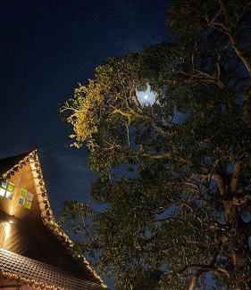 Central Seberang Perai Casa | Sayang Di Kaki Bukit