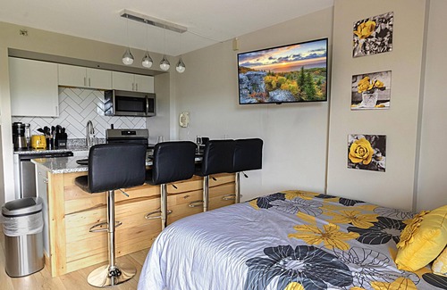 Snowshoe Condominio | SC 2204 Completely Renovated Studio, Bright Winter Escape!