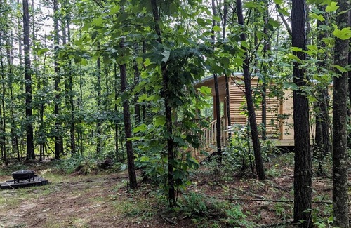 Coalmont Casa | Scandinavian Cabin at Getaway on Ranger Creek