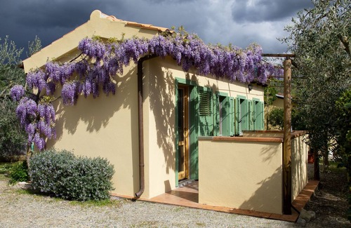 Scansano Apartamento | SCANSANO APARTAMENTO MAR COLINAS maremme