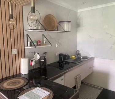 Haggatt Hall Apartamento | Scarlett Studios 1 -US Embassy Appt 7 mins drive- Lloyd Erskine Sandiford Centre and Ross uni 5 mins drive - Only the 1 night package includes Airport and US Embassy roundtrip