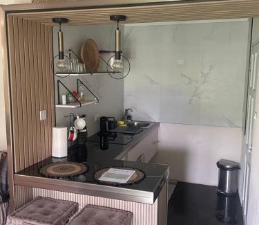Haggatt Hall Apartamento | Scarlett Studios 1 -US Embassy Appt 7 mins drive- Lloyd Erskine Sandiford Centre and Ross uni 5 mins drive - Only the 1 night package includes Airport and US Embassy roundtrip