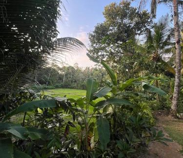 Ahangama Casa | Scenery Vibes - Ahangama