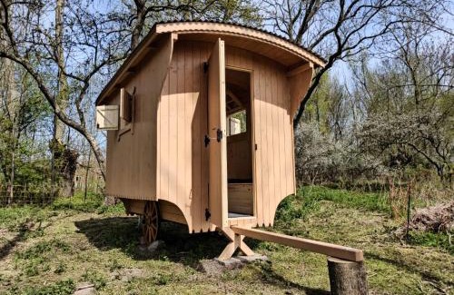 Gustow Otro | Schäferwagen auf dem Biogut-Saalkow