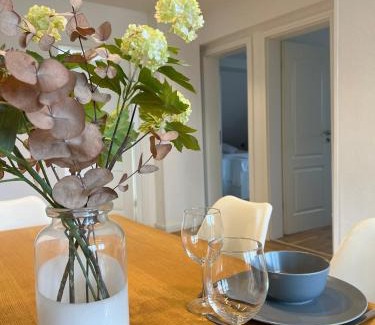 Loerrach Apartamento | Schöne Altbauwohnung mit großer Dachterrasse für bis zu 8 Personen