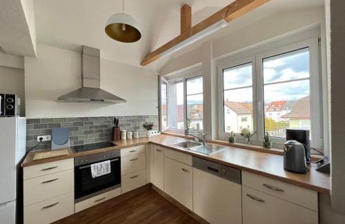 Loerrach Apartamento | Schöne Altbauwohnung mit großer Dachterrasse für bis zu 8 Personen