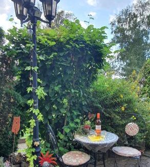 Felsberg Apartamento | Schöne Ferienwohnung mit Terrasse und Garten