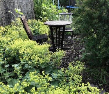 Osnabrueck Apartamento | Schöne Wohnung In Widukindland Mit Grill, Garten Und Terrasse