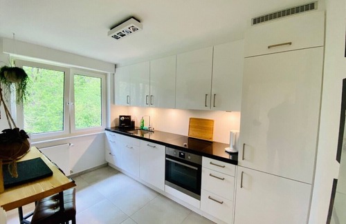 Metzkausen Apartamento | Schalli´s Fewo