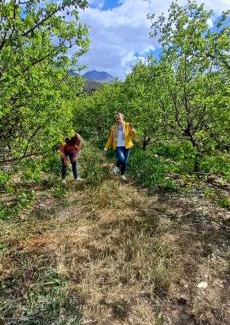 Scheepersrus Otro | Scheepers Rust Guest Farmhouse