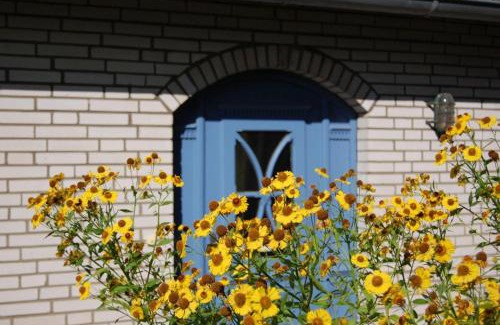 Fusing Casa | Schlei-Rose