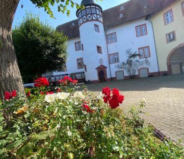 Nidda Apartamento | Schloss Nidda - FeWo mit Privatgarten, Fellnasen willkommen!