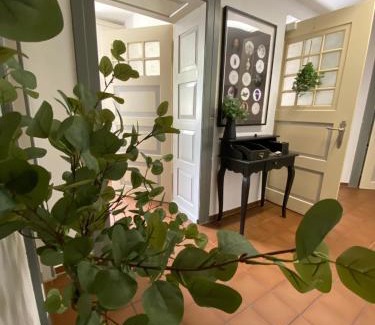 Nidda Apartamento | Schloss Nidda - FeWo mit Privatgarten, Fellnasen willkommen!