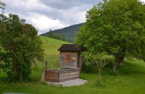 Sankt Martin am Tennengebirge Cama Y Desayuno | Schnöllhof
