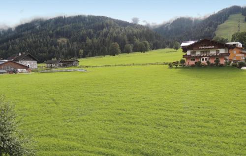 Flachau Apartamento | Schoene Ferienwohnung Flachau