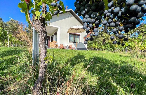 Deutsch Schuetzen-Eisenberg Casa | Schoenes Ferienhaus Eisenberg