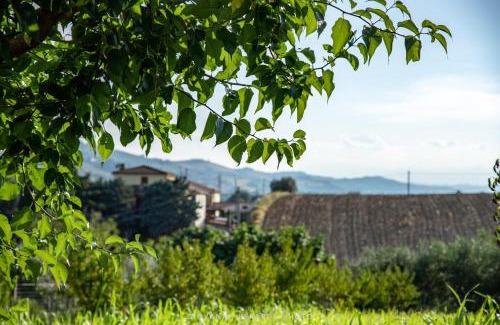 Lapedona Cama Y Desayuno | ScholaBnb “ percorso esperenziale di vita rurale sostenibile”