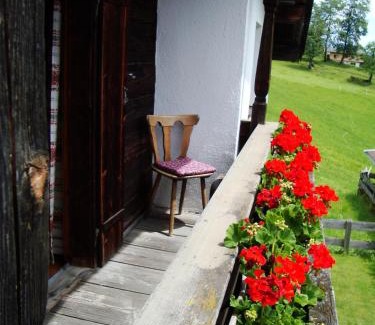 Wildschoenau Casa | Schoner Erika