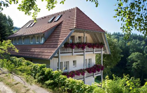 Oberwolfach Apartamento | Schornhof