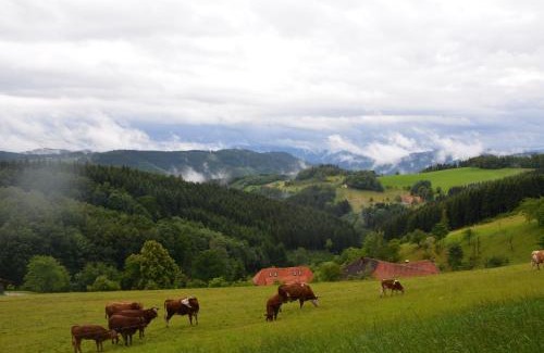 Oberwolfach Apartamento | Schornhof
