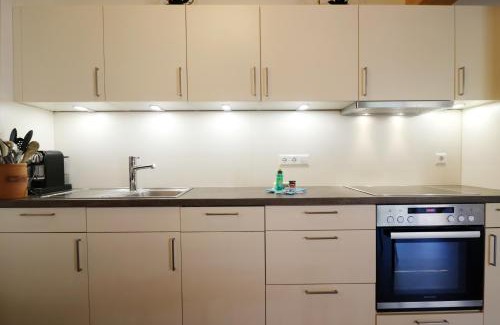 Menzenschwand-Hinterdorf Apartamento | Schwarzwaldhaus - Fewo Schwarzwaldtanne, St Blasien - Menzenschwand