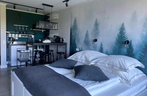 Kniebis Apartamento | Schwarzwald Wohnung Kniebis