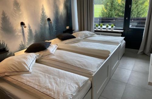 Kniebis Apartamento | Schwarzwald Wohnung Kniebis