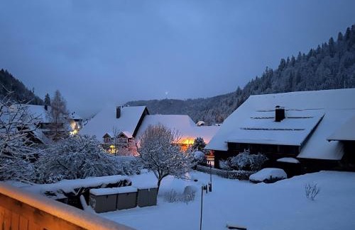 Menzenschwand-Hinterdorf Apartamento | Schwarzwaldhaus - Fewo Fichte, St Blasien - Menzenschwand