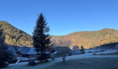 Menzenschwand-Hinterdorf Apartamento | Schwarzwaldhaus - Fewo Fichte, St Blasien - Menzenschwand