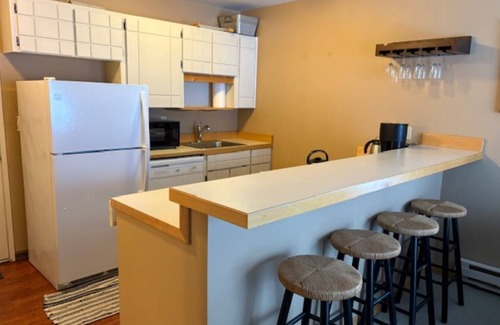 Sandpoint Condominio | Schweitzer Mountain Condo close to the village and slopes!